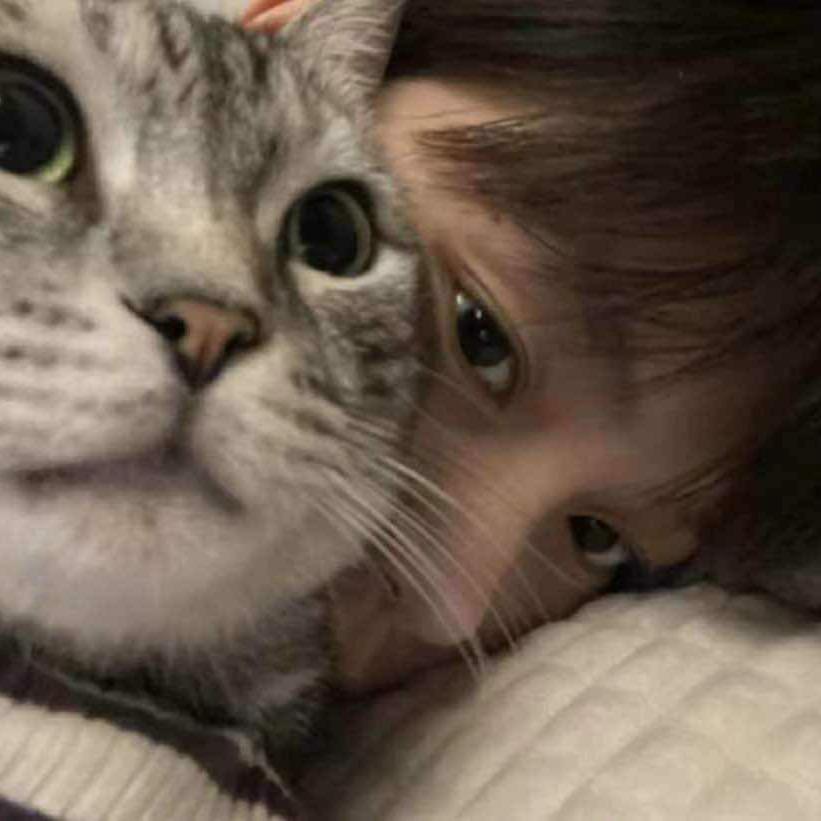 -初见
