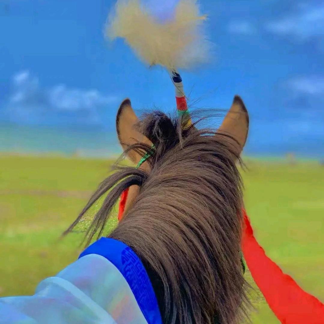 爱马🐎男孩