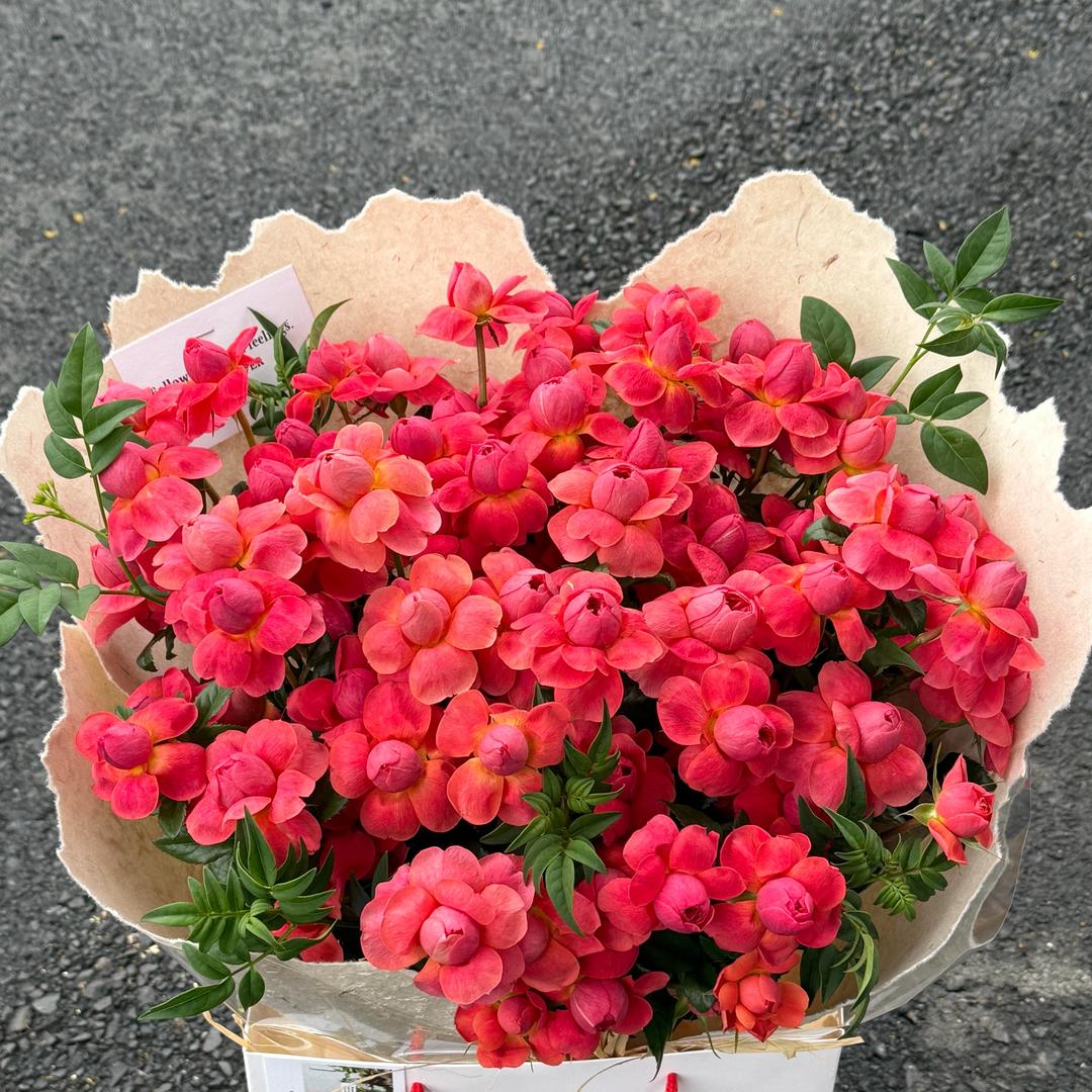 花期