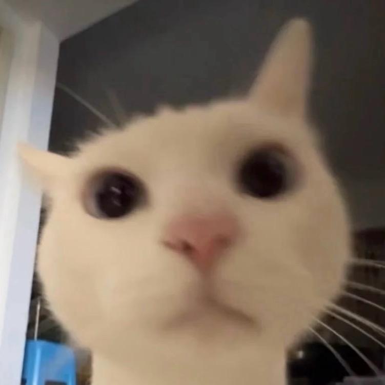 不吃西瓜的百香果.