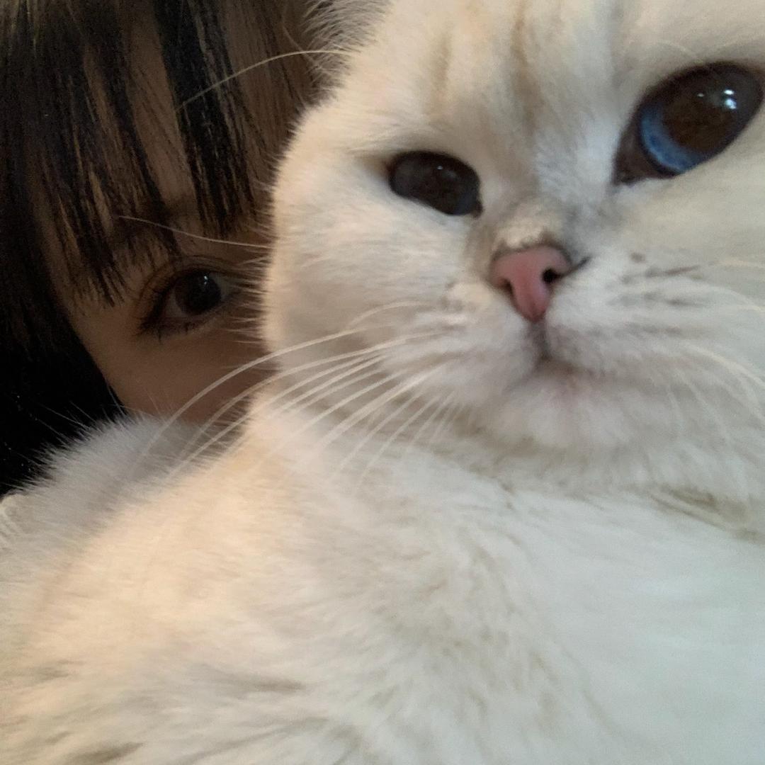长腿小企鹅