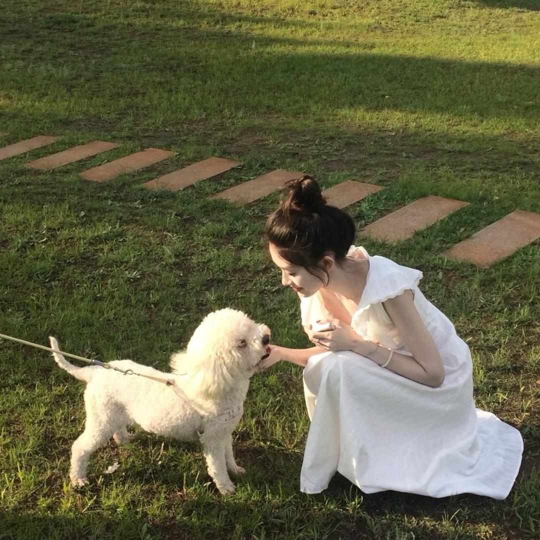 杨杨杨杨杨.