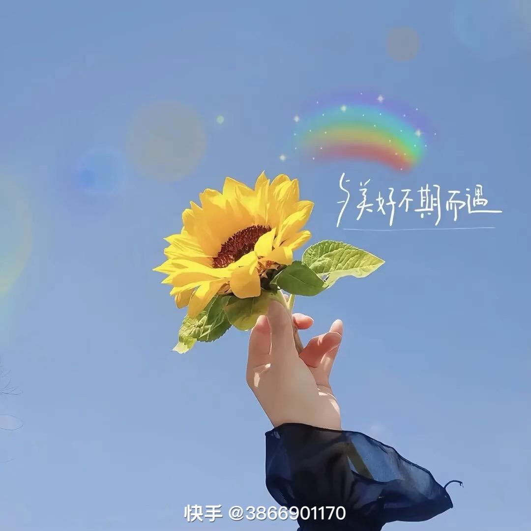 世ঞৣঁ᭄ℯ⃝俗ღ