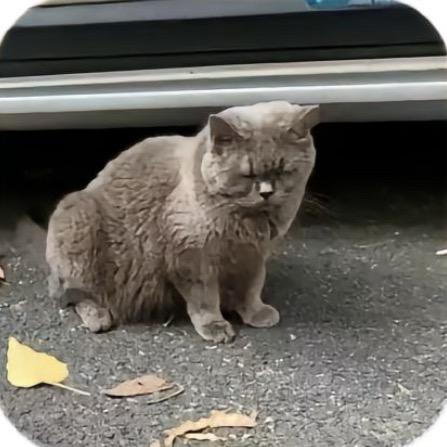 抽完利群我就跳舞