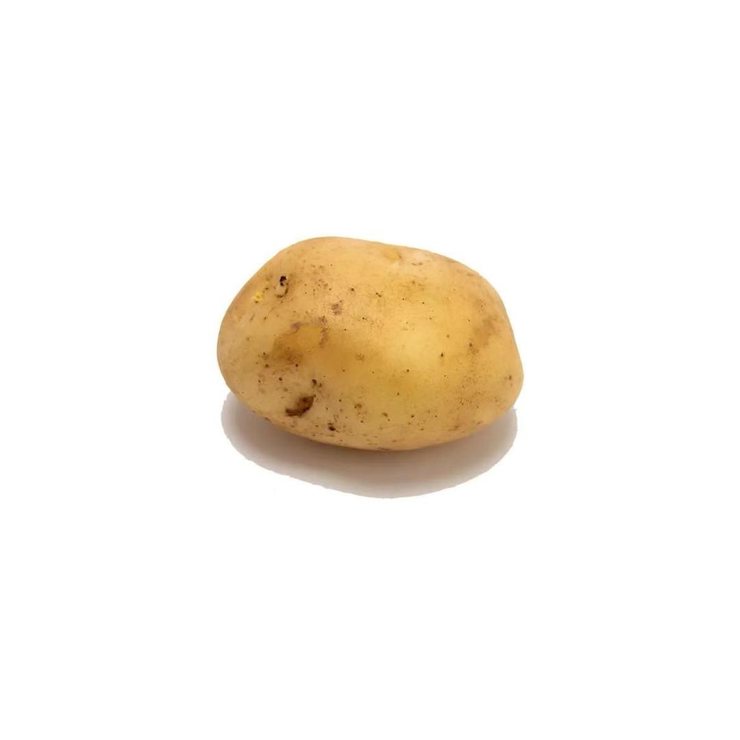 🍅•᎔•🍅