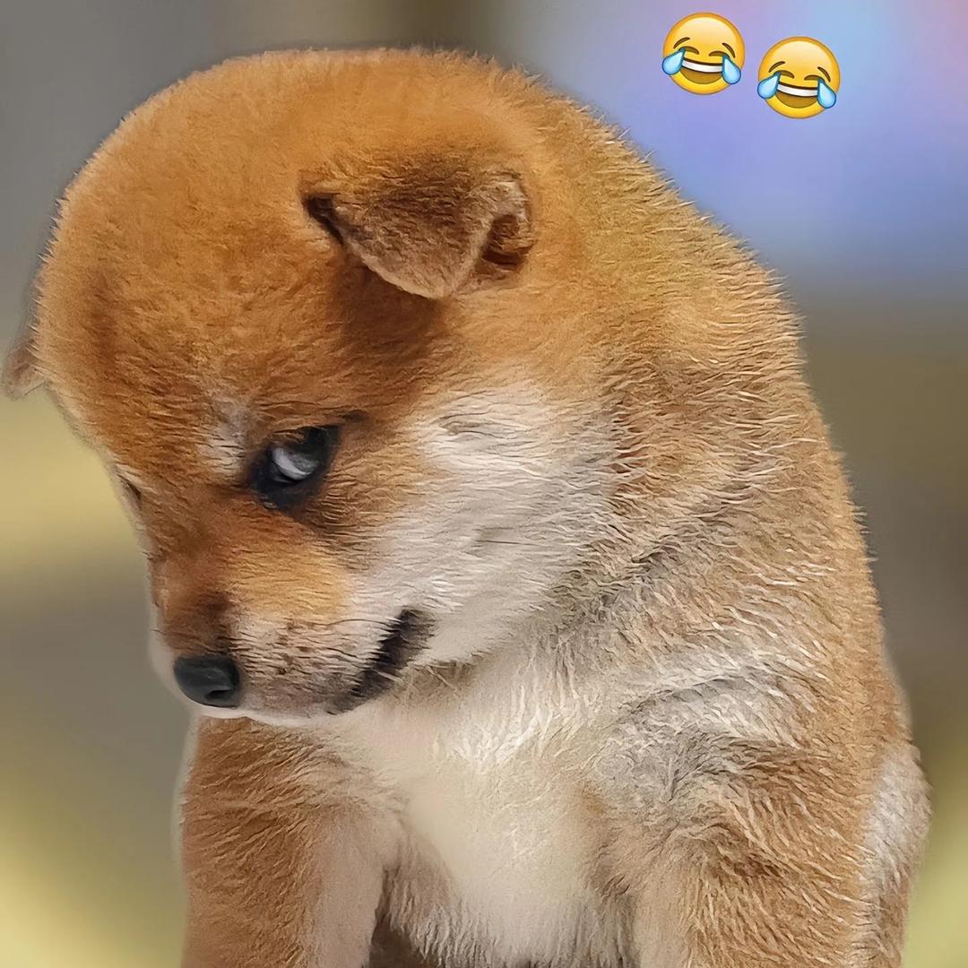 慢吞吞🐌