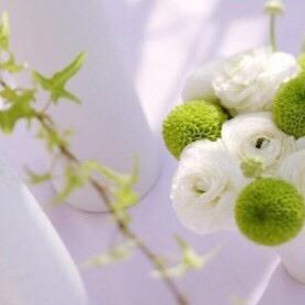 🌱宁静