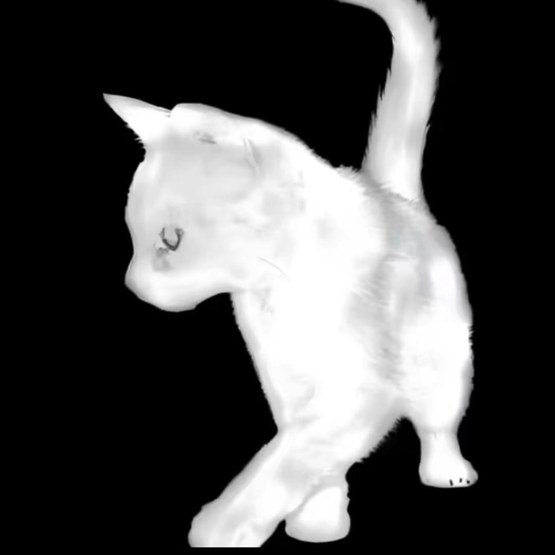 姒