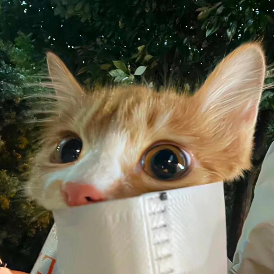 精品甄选