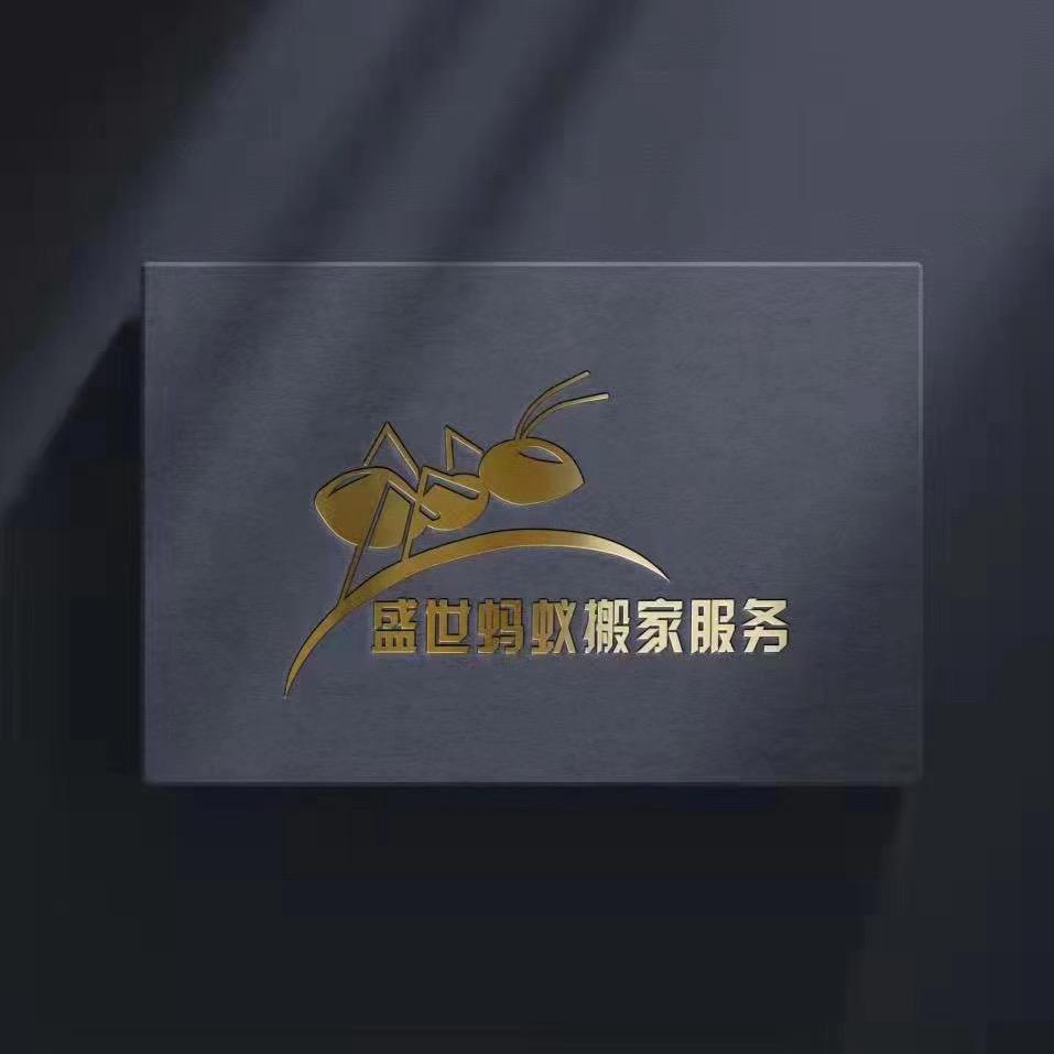 青岛盛世蚂蚁搬家阿通