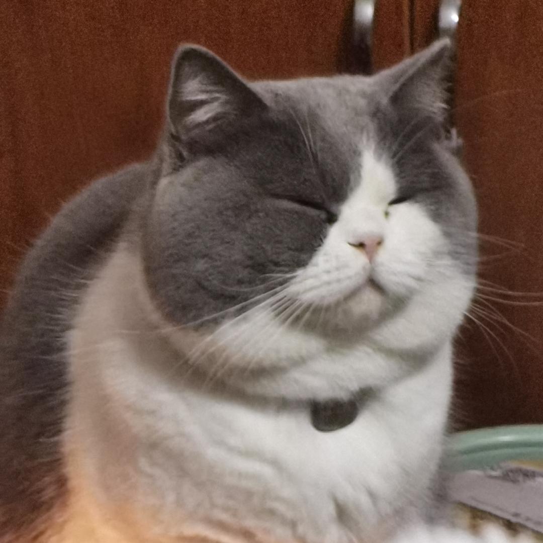 打死不断奶