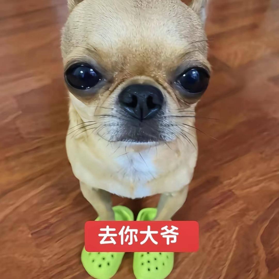 小瓜（拼好饭）
