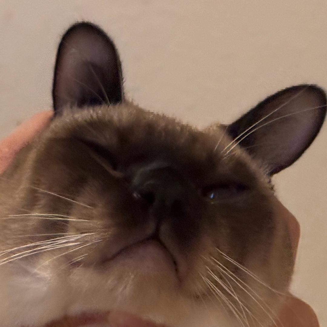 Suki