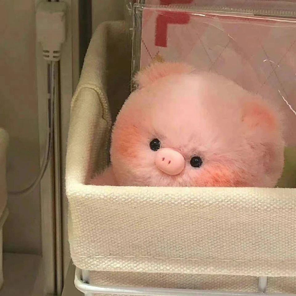 zhennn