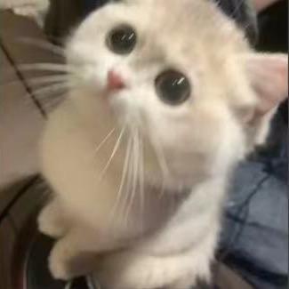 相机记录ʸᵒᵘ．