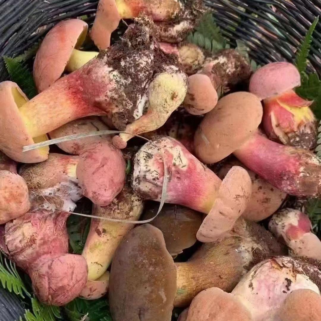 和乐农产品