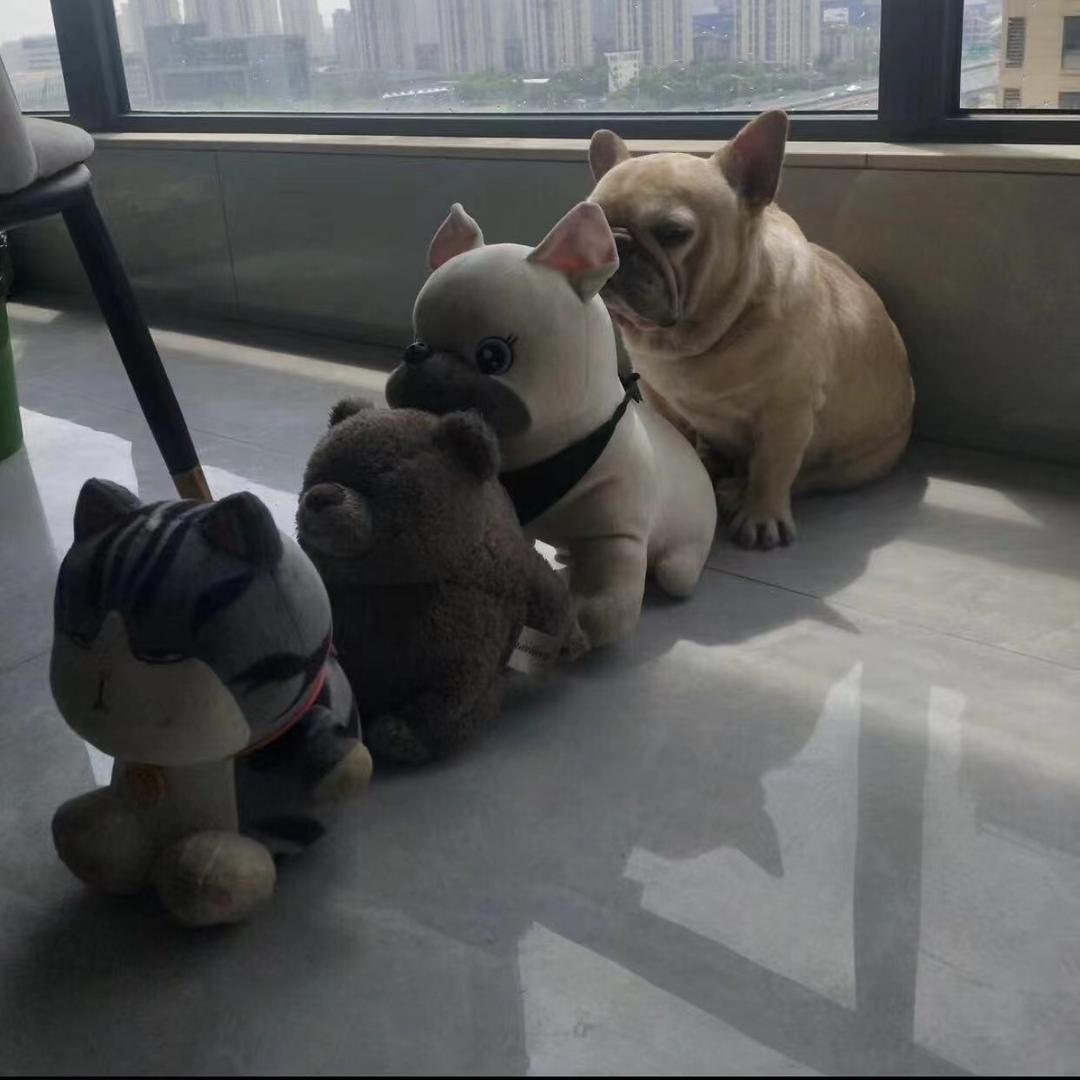 小雪日常生活