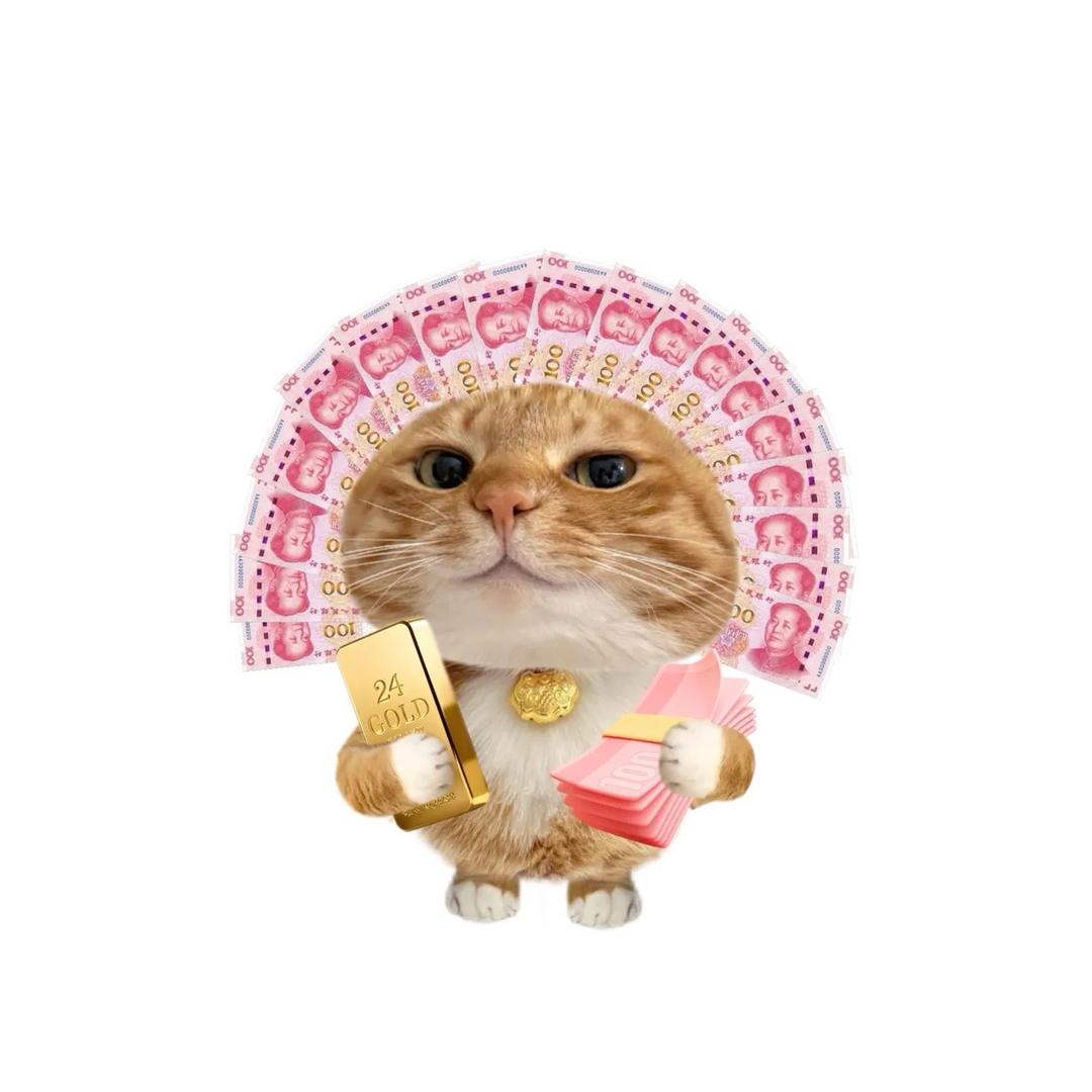 超级无敌炫酷小皇帝