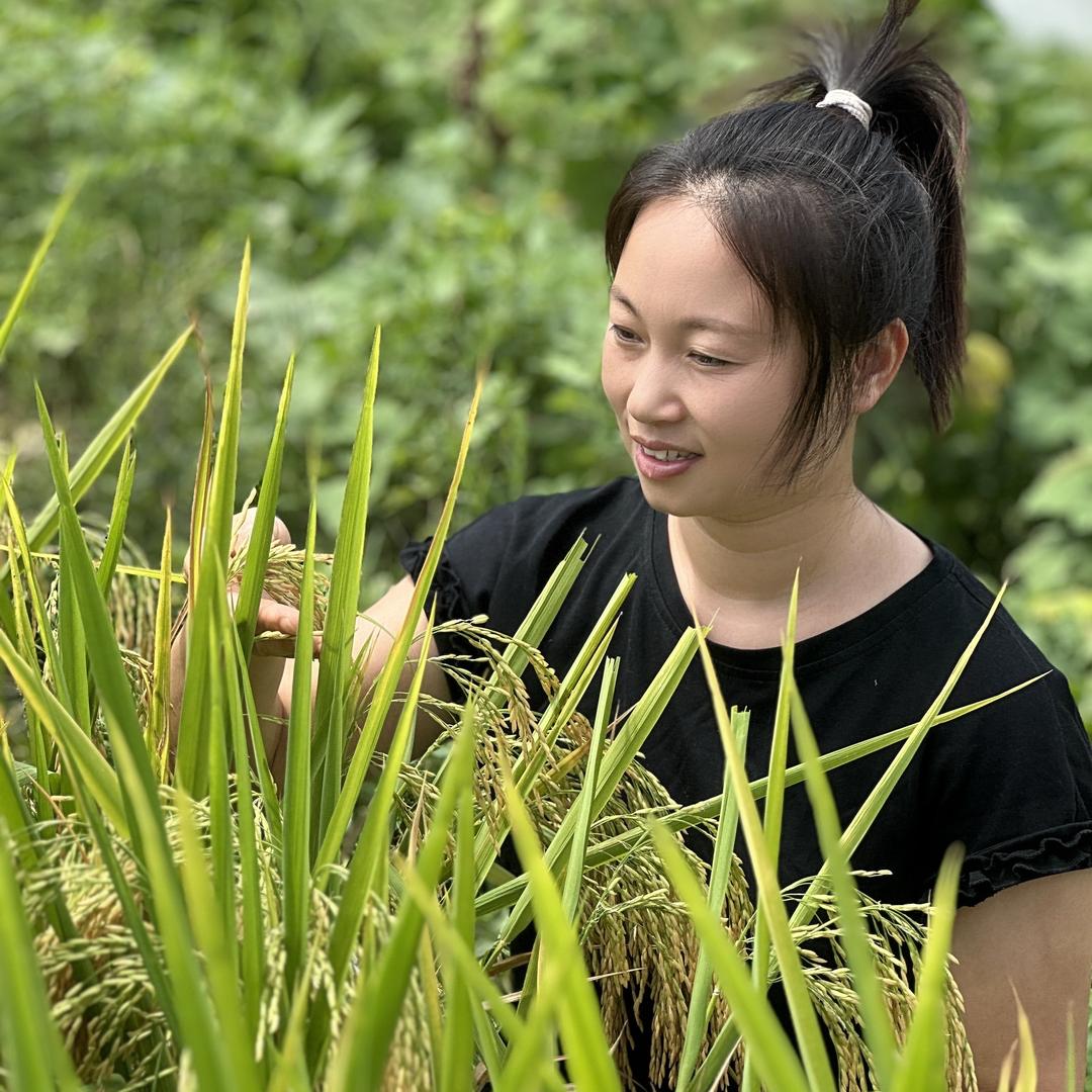菡小妹糍粑