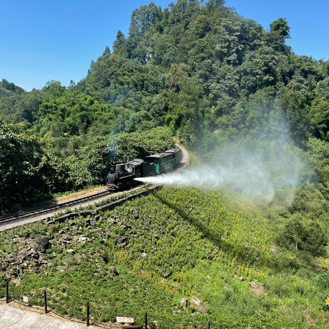 犍为桔坤茶叶经营部