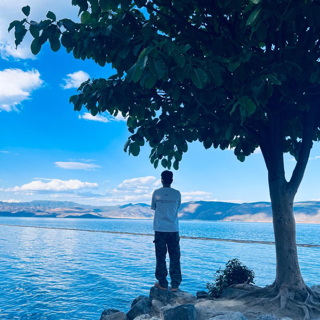 撒哈拉老野猪🐗