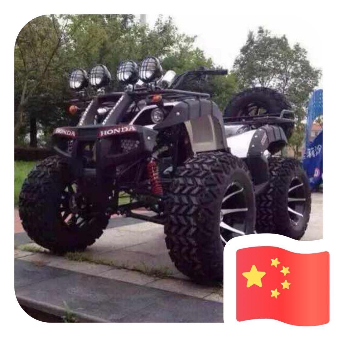狼狼