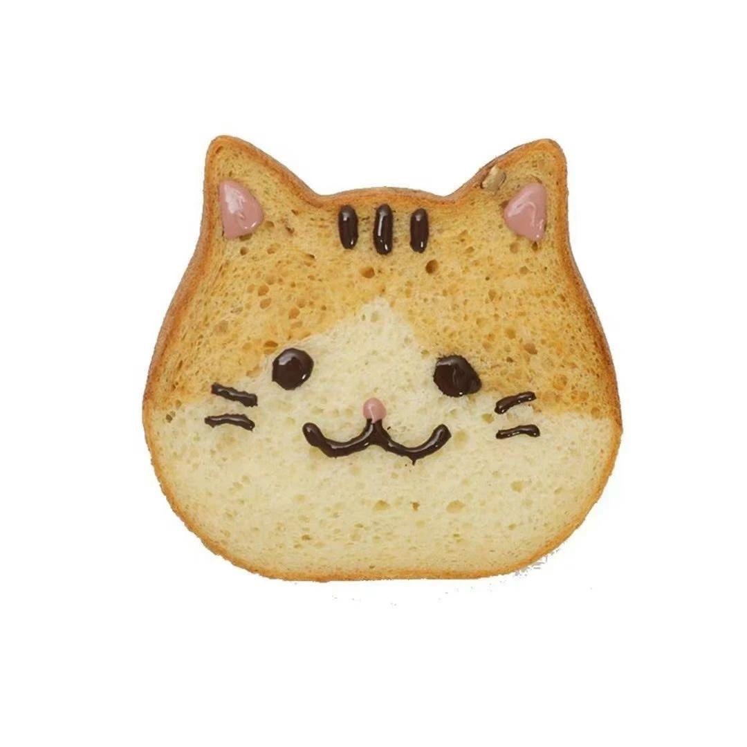 卷卷是我的猫