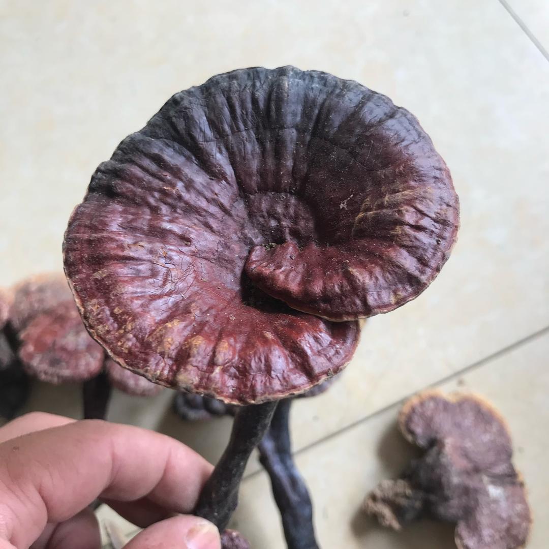 伏牛山大斌九蒸九晒坊