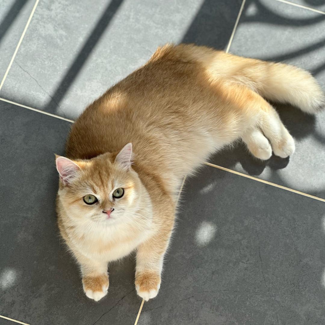 王木木轻职穿搭