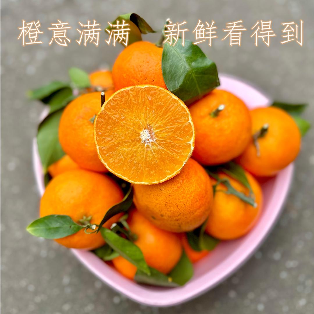 阿忠哥的象山红美人
