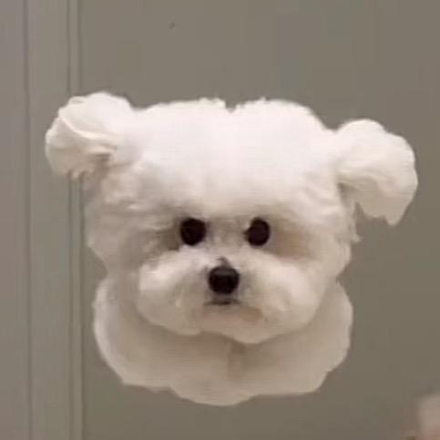 煎饼果子来一套