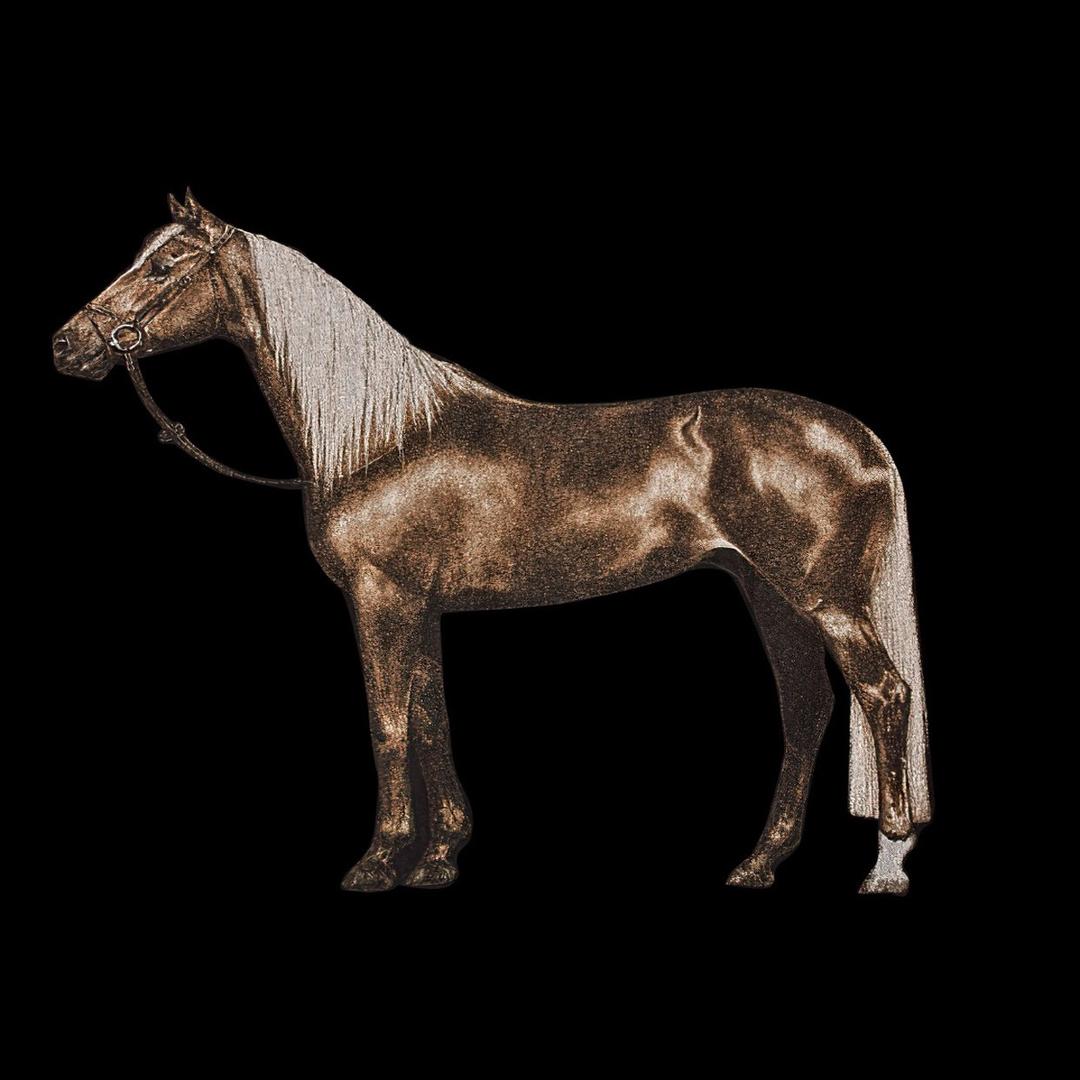 陈老师-男主播培训