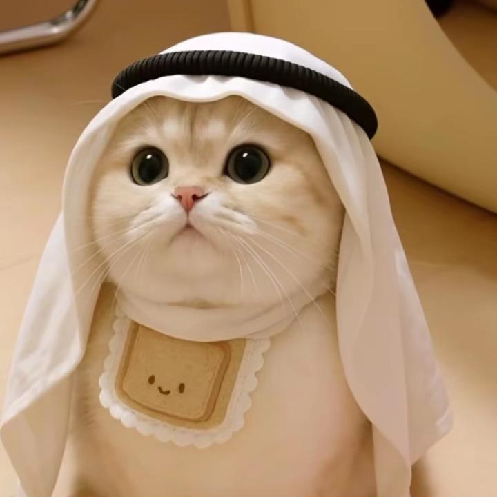 ✨达瓦不睡我不睡🌙