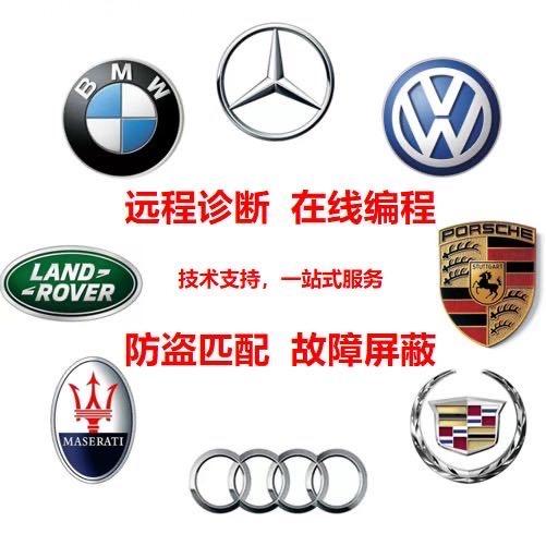 远程在线编程，技术支持