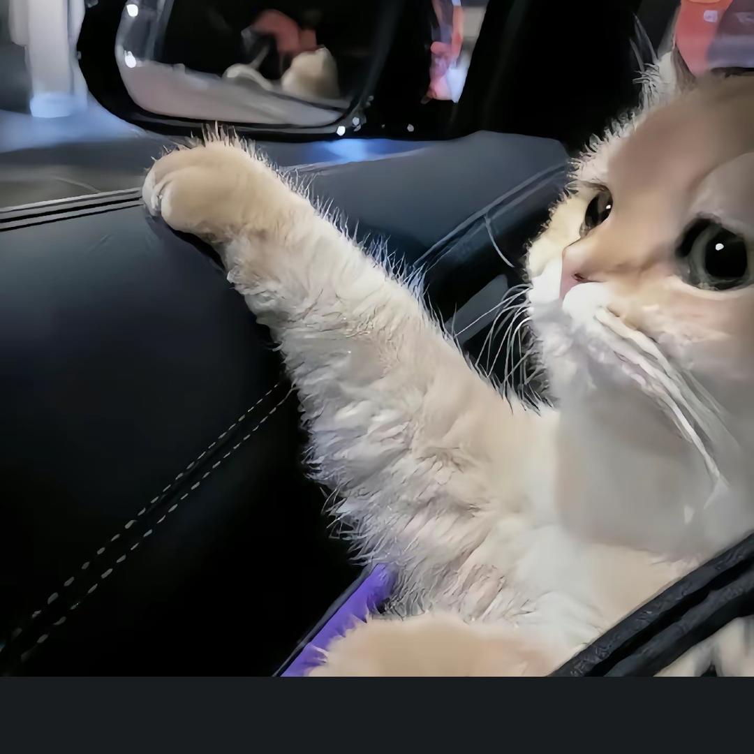 琴.