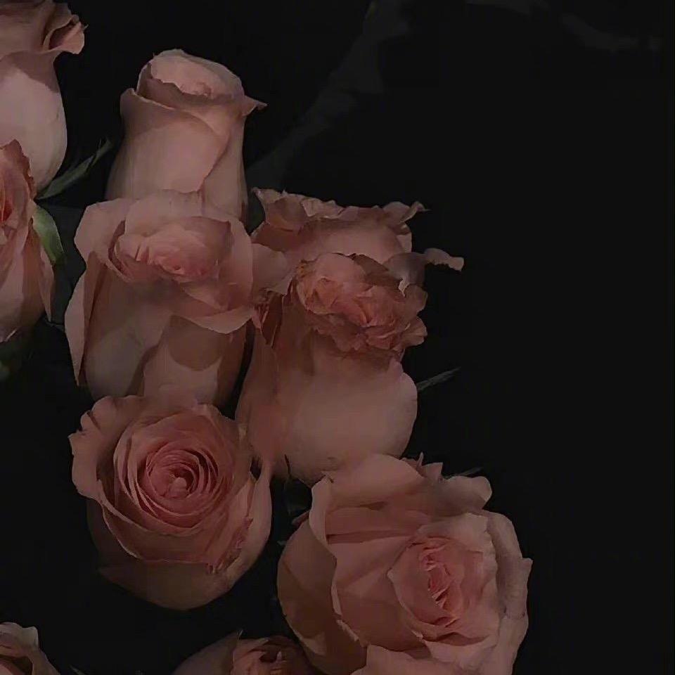 顳躡