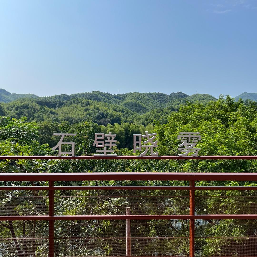 小马哥