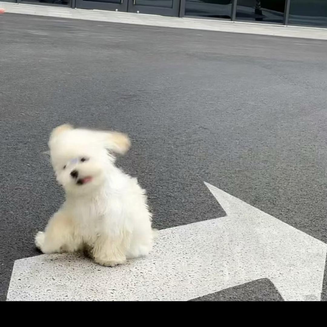 轻奢潮牌低价一店