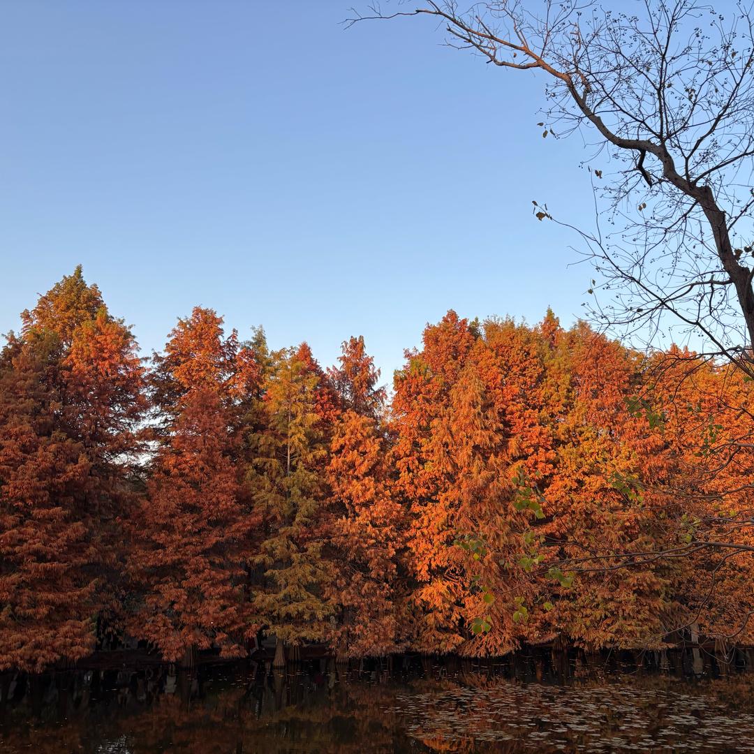 雨夜带刀不带伞