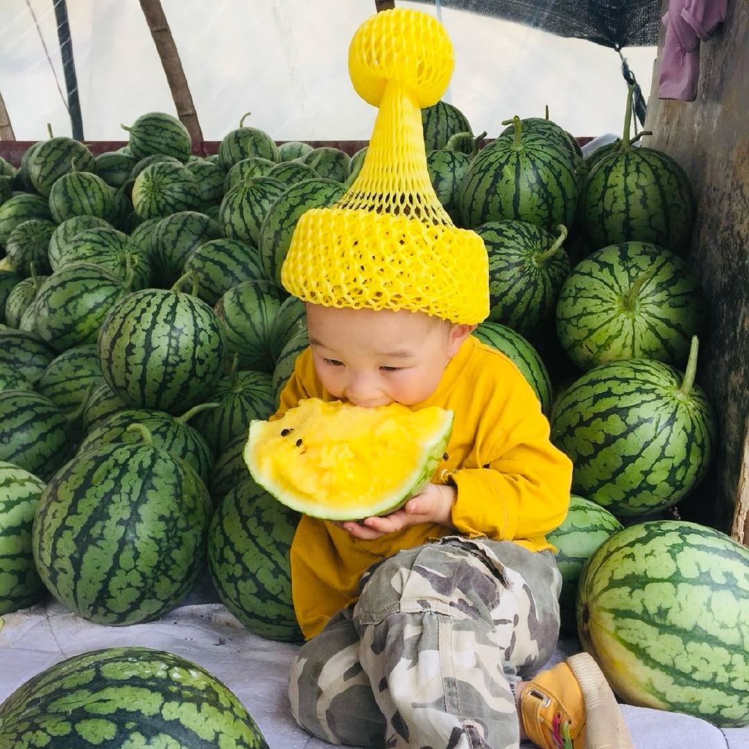 瓜瓜乐🍉