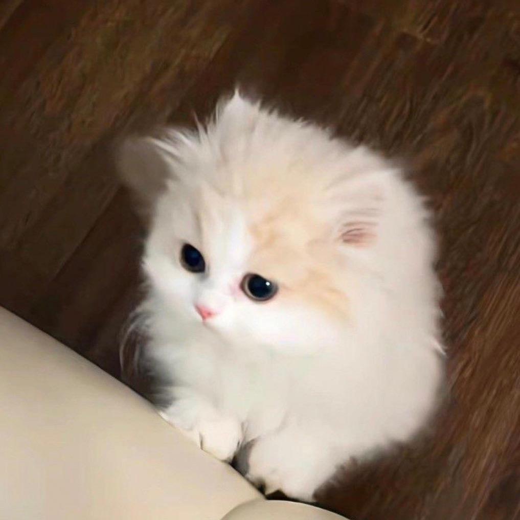 悦