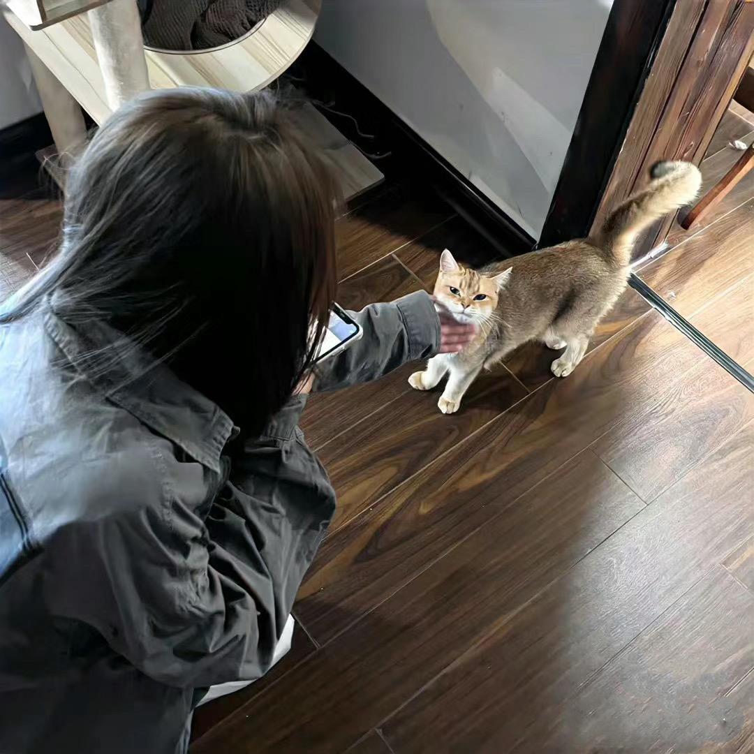 小摩同学