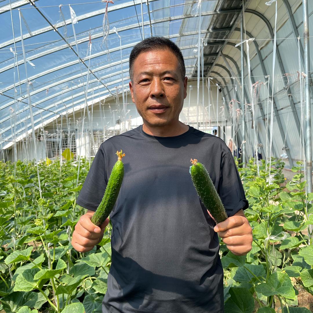 种养老秦