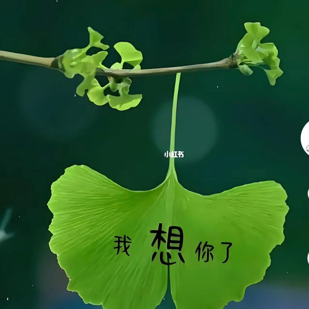 萬事随缘