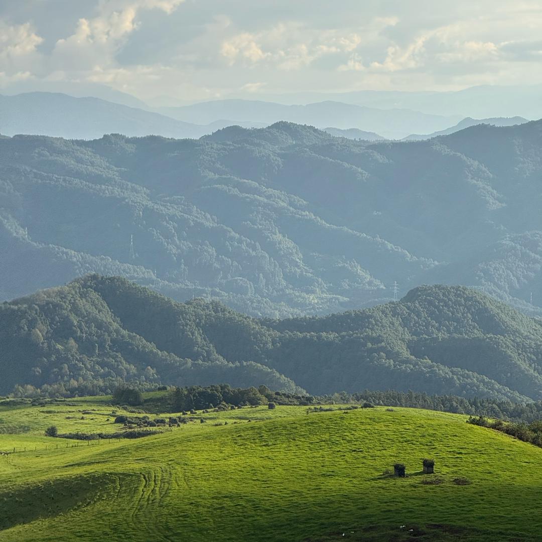 云南大山好物甄选