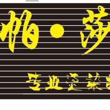 帕•莎 大新雷平 美发