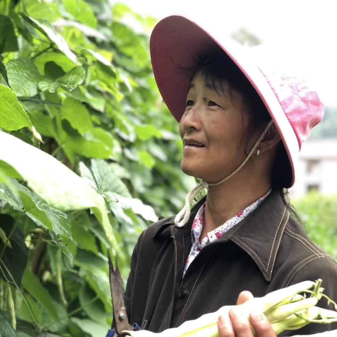 刘小妹