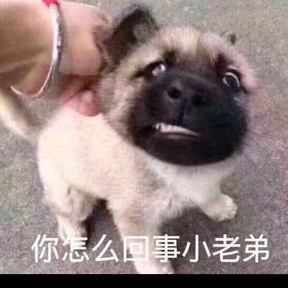 神农说好菜，伯乐说好马