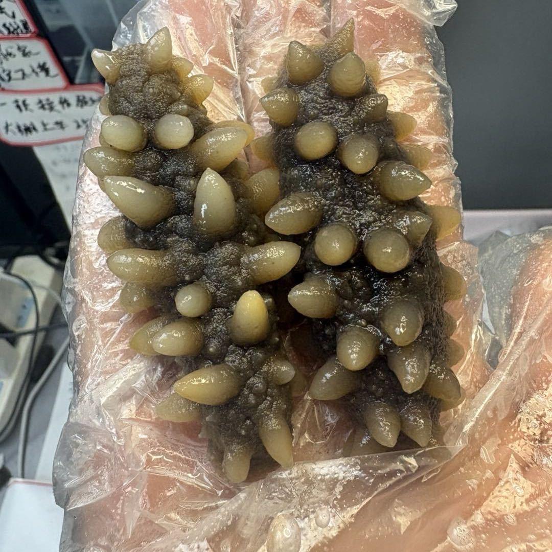 参锦源