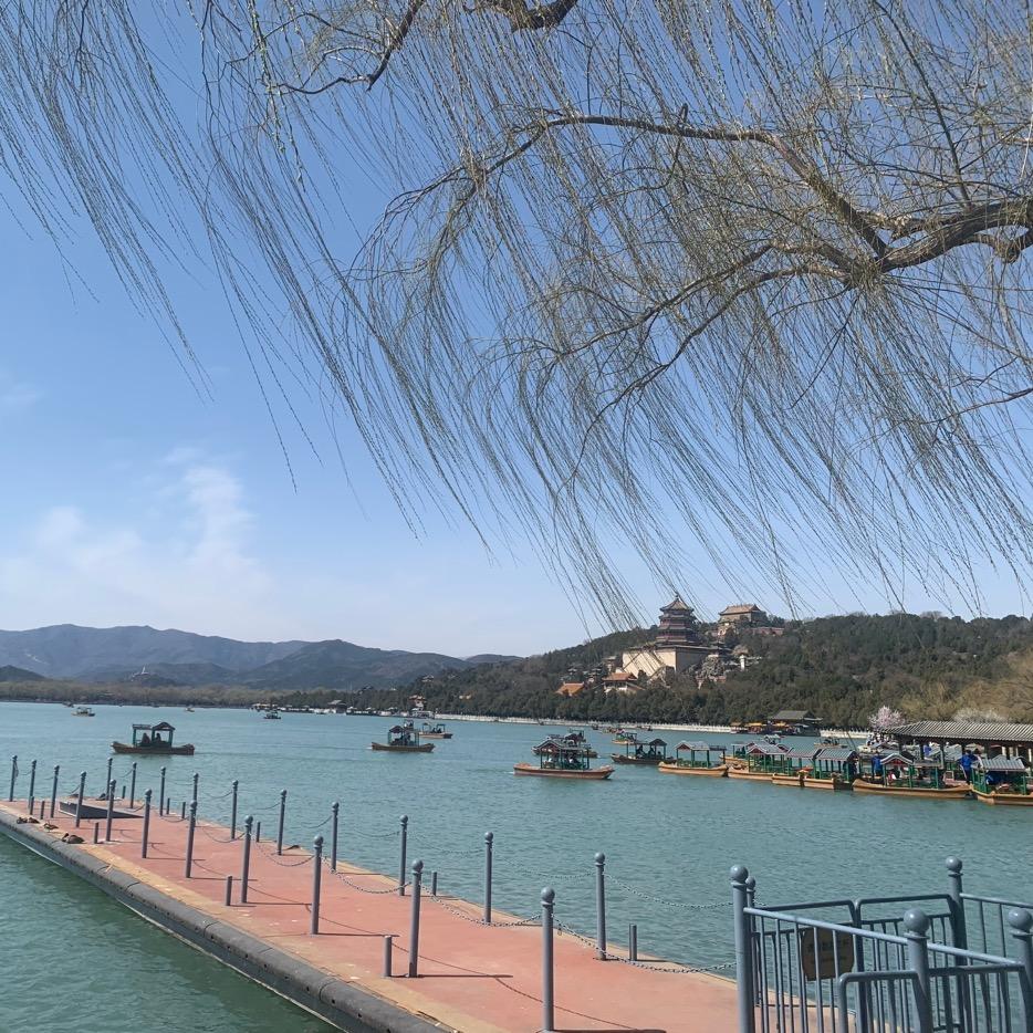 杨杨自得